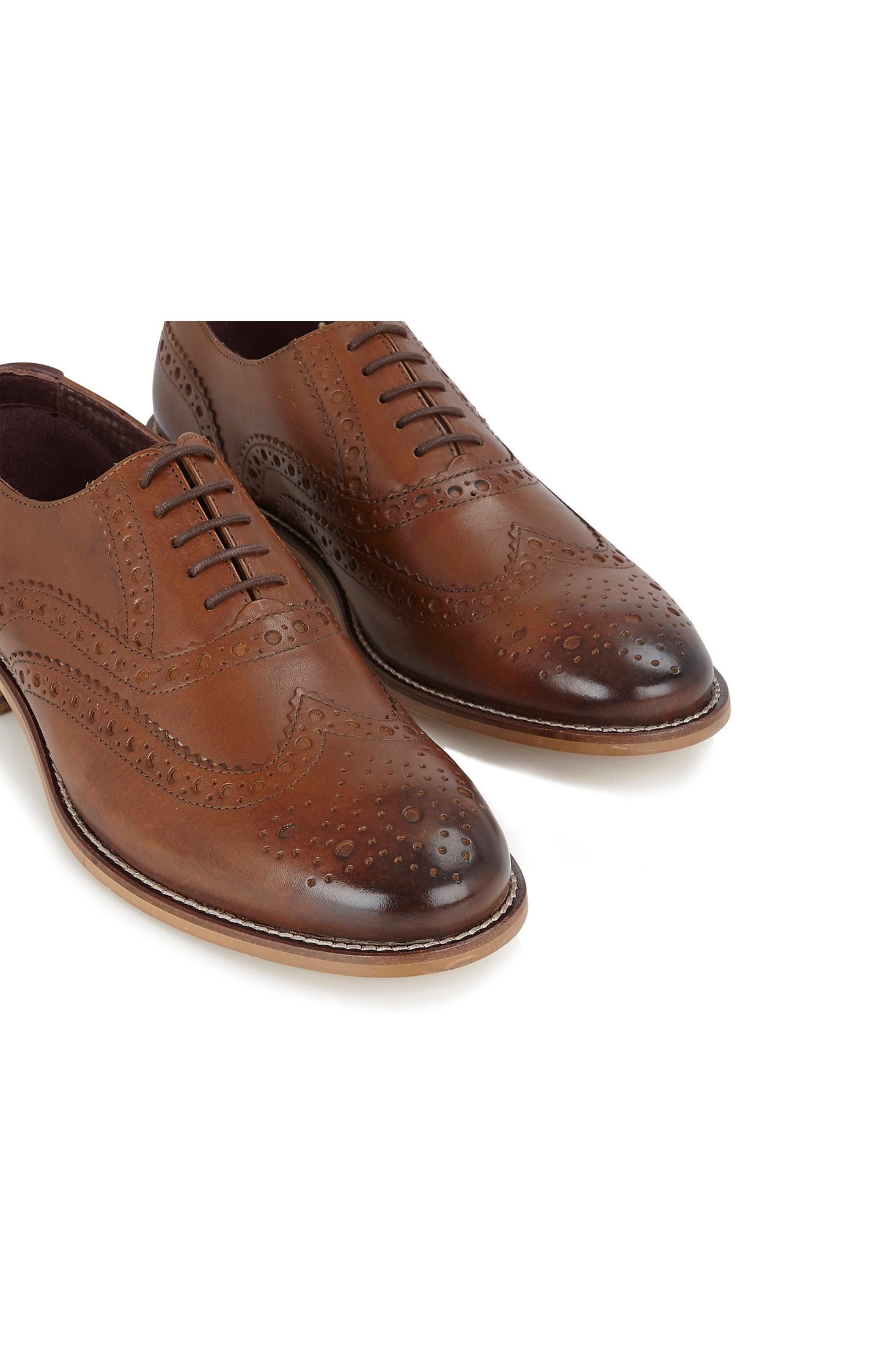 Brogues OXFORD BROGUES IN CHESTNUT – XPOSED